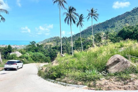 Terrain à Ko Samui, Thaïlande № 124409 - photo 1