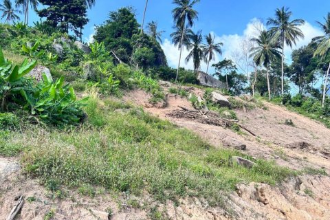 Terrain à Ko Samui, Thaïlande № 124409 - photo 3