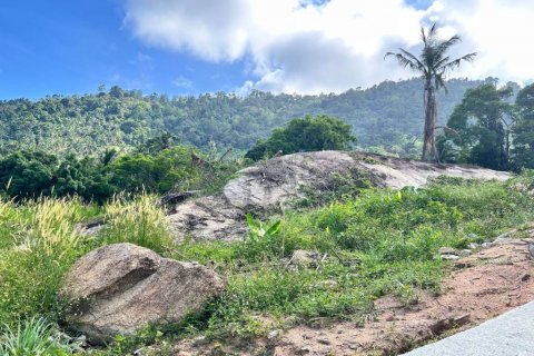 Земельный участок в Самуи, Таиланд  № 124406 - фото 4