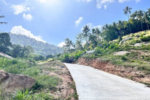 Земельный участок в Самуи, Таиланд  № 124406 - фото 3