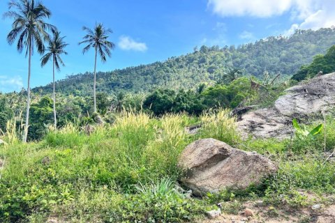 Земельный участок в Самуи, Таиланд  № 124406 - фото 6