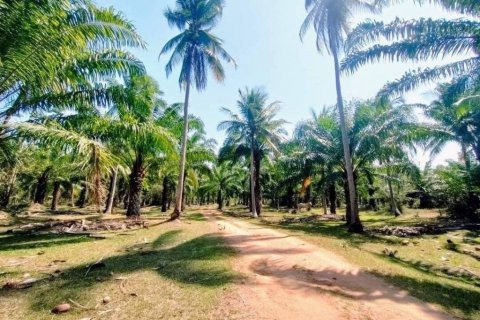Земельный участок в Прачуапкхирикхане, Таиланд  № 101974 - фото 7