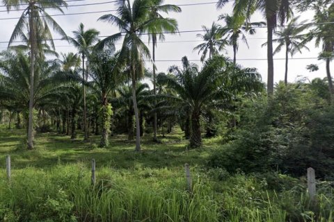 Земельный участок в Прачуапкхирикхане, Таиланд  № 101974 - фото 6