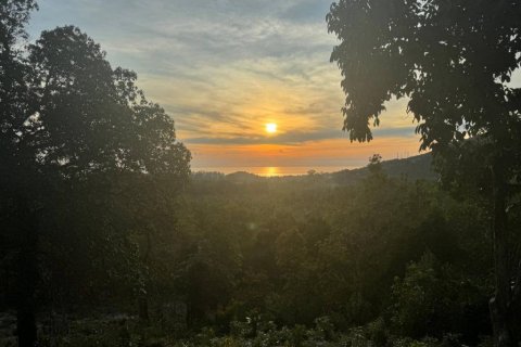 Land in Surat Thani, Thailand № 101971 - photo 4