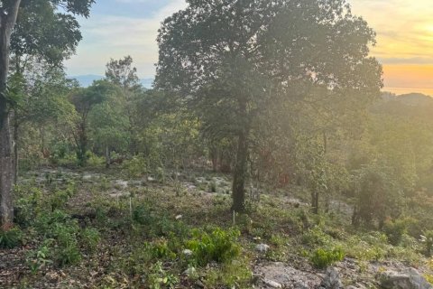 Land in Surat Thani, Thailand № 101971 - photo 6