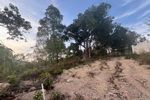 Land in Surat Thani, Thailand № 101971 - photo 10