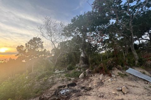 Land in Surat Thani, Thailand № 101971 - photo 7