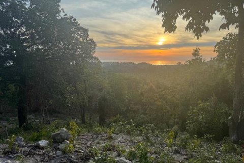 Land in Surat Thani, Thailand № 101971 - photo 3