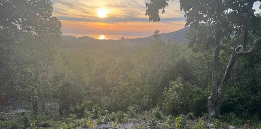 Land in Surat Thani, Thailand № 101971