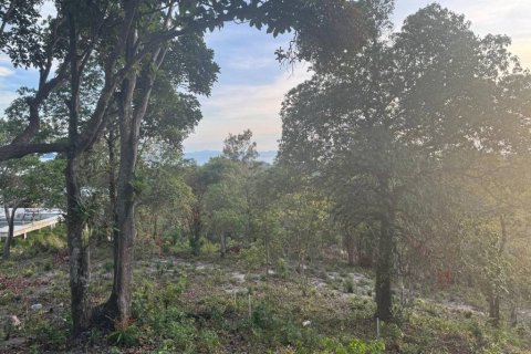 Land in Surat Thani, Thailand № 101971 - photo 8