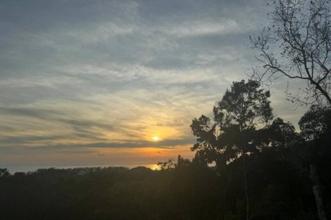 Land in Surat Thani, Thailand № 101971 - photo 2