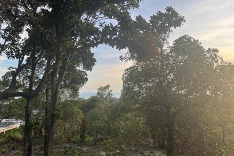 Land in Surat Thani, Thailand № 101971 - photo 5