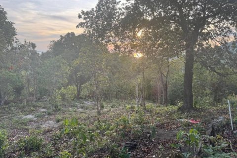 Land in Surat Thani, Thailand № 101971 - photo 9