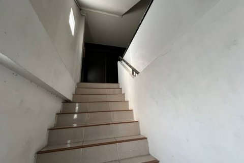 Коммерческая недвижимость в Чианграе, Таиланд 333м2  № 85873 - фото 10