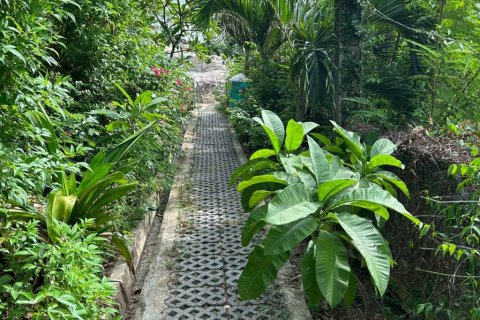 Land in Ko Samui, Thailand № 132845 - photo 7