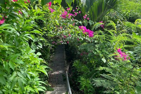 Land in Ko Samui, Thailand № 132845 - photo 4