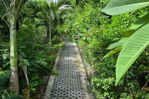 Land in Ko Samui, Thailand № 132845 - photo 5