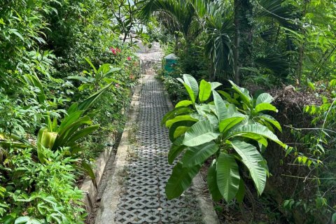 Land in Ko Samui, Thailand № 132845 - photo 8