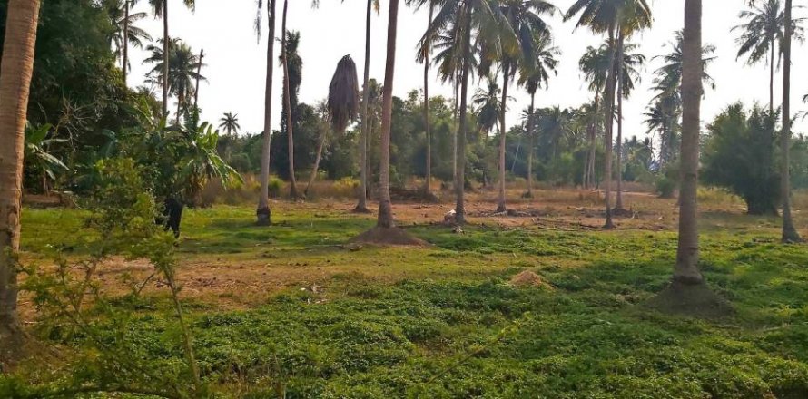Land in Pattaya, Thailand № 86036