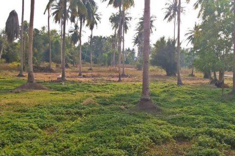 Land in Pattaya, Thailand № 86036 - photo 2