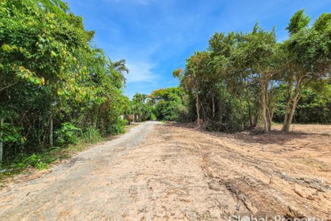 Земельный участок в Паттайе, Таиланд  № 132309 - фото 14