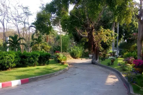 Maison à Pattaya, Thaïlande 3 chambres № 80284 - photo 27