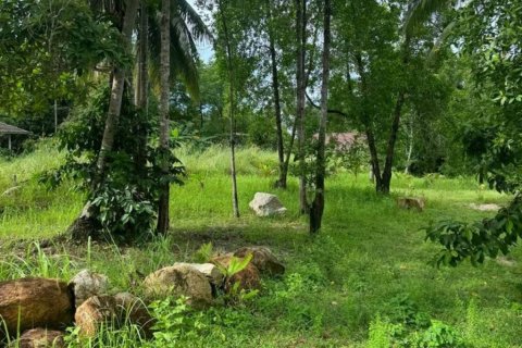 Земельный участок в Сураттхани, Таиланд  № 115884 - фото 2