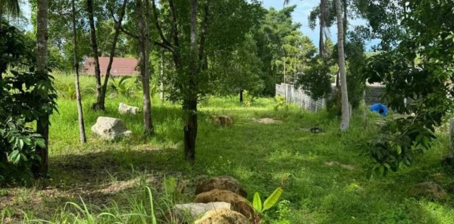 Земельный участок в Сураттхани, Таиланд  № 115884