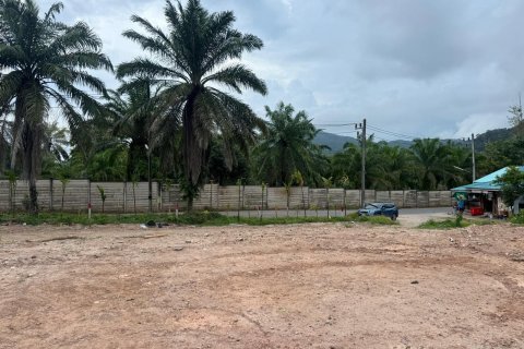 Terrain à Kathu, Thaïlande 1372 m2 № 142389 - photo 3