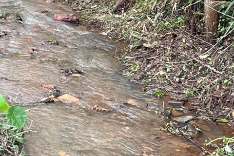 Terrain à Kathu, Thaïlande 1372 m2 № 142389 - photo 6