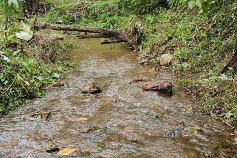 Terrain à Kathu, Thaïlande 1372 m2 № 142389 - photo 4