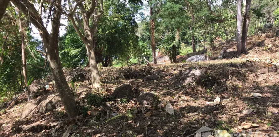 Terrain à Kathu, Thaïlande 4700 m2 № 141913