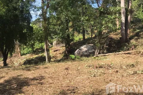 Terrain à Kathu, Thaïlande 4700 m2 № 141913 - photo 2