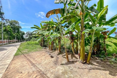 Terrain à Pattaya, Thaïlande 8000 m2 № 141914 - photo 4