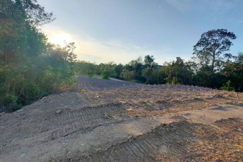 Земельный участок в Саттахипе, Таиланд  № 100097 - фото 4