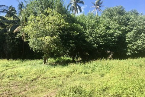 Land in Ko Samui, Thailand № 144581 - photo 3