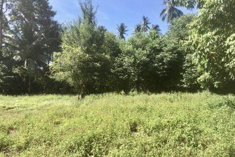 Land in Ko Samui, Thailand № 144581 - photo 2
