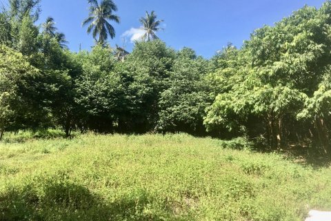 Land in Ko Samui, Thailand № 144581 - photo 1
