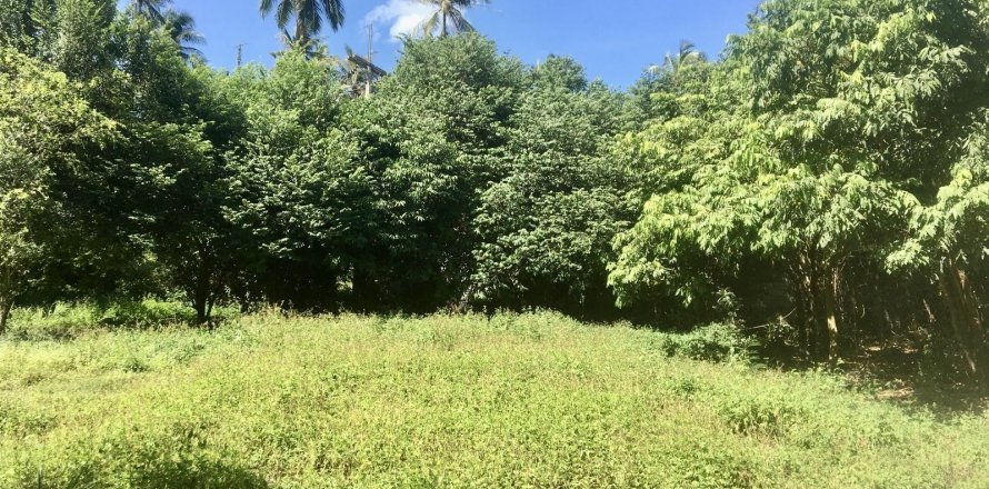Land in Ko Samui, Thailand № 144581