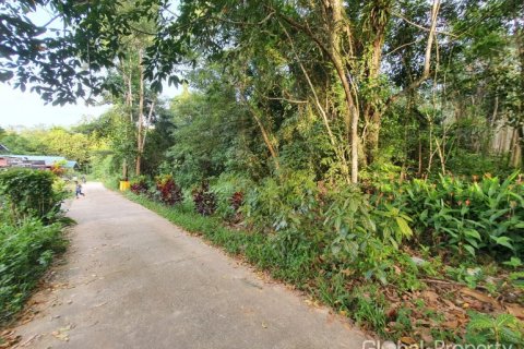 Земельный участок в Куте, Таиланд  № 132320 - фото 2