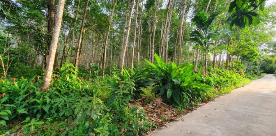 Земельный участок в Куте, Таиланд  № 132320