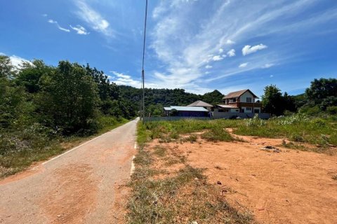 Земельный участок в Хуа Хине, Таиланд  № 104483 - фото 4