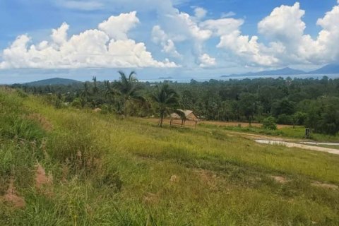 Земельный участок в Самуи, Таиланд  № 120257 - фото 2