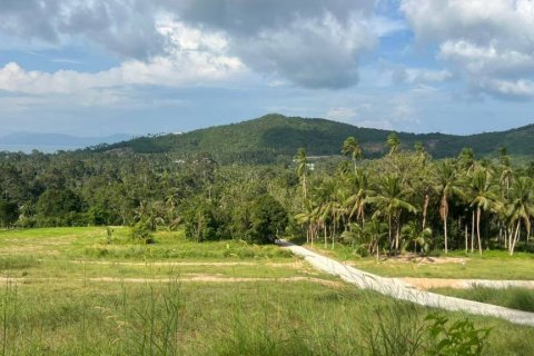 Земельный участок в Самуи, Таиланд  № 120257 - фото 3