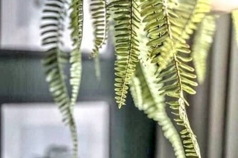 Condo in Bangkok, Thailand, 1 bedroom  № 86263 - photo 9