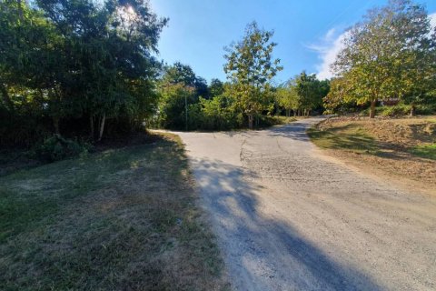 Land in Mae Taeng, Thailand № 86892 - photo 6