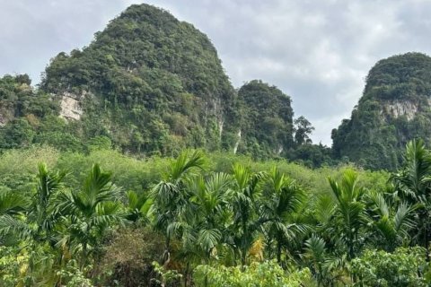 Земельный участок в Краби, Таиланд  № 125905 - фото 1