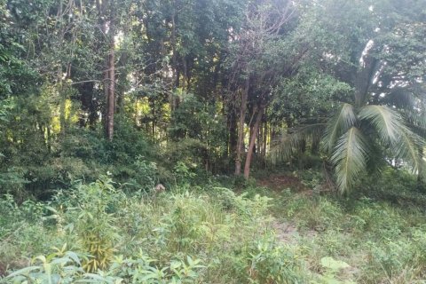 Земельный участок в Сураттхани, Таиланд  № 116182 - фото 5