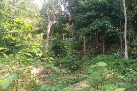 Земельный участок в Сураттхани, Таиланд  № 116182 - фото 4