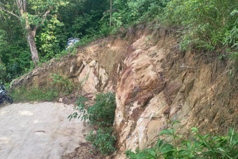 Земельный участок в Сураттхани, Таиланд  № 116182 - фото 7